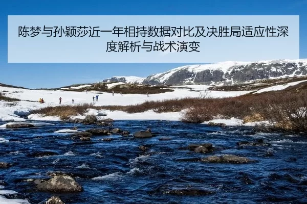 陈梦与孙颖莎近一年相持数据对比及决胜局适应性深度解析与战术演变